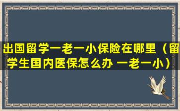 出国留学一老一小保险在哪里（留学生国内医保怎么办 一老一小）